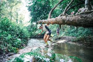 BIB: 
                            <button type="button" onclick="openModal(25439337)" class="btn btn-primary btn-sm float-right btn-popup" data-toggle="modal" data-target=".modal-high-quality">
                        <i class="fas fa-shopping-cart"></i> Add to Cart
                    </button>
                                            <button type="button" onclick="isThisMe(25439337, true)" class="btn btn-success btn-sm float-right btn-popup btn-isme hidden" data-toggle="tooltip" data-placement="bottom" title="นี่คือรูปของคุณใช่ไหม คลิกที่นี่เพื่อเอาเข้าอัลบั้ม">
                        <i class="fas fa-plus"></i> Add to album
                    </button>
                    <button type="button" onclick="isThisMe(25439337, false)" class="btn btn-warning btn-sm float-right btn-popup btn-isnotme hidden">
                        <i class="fas fa-ban"></i> Remove from album
                    </button>